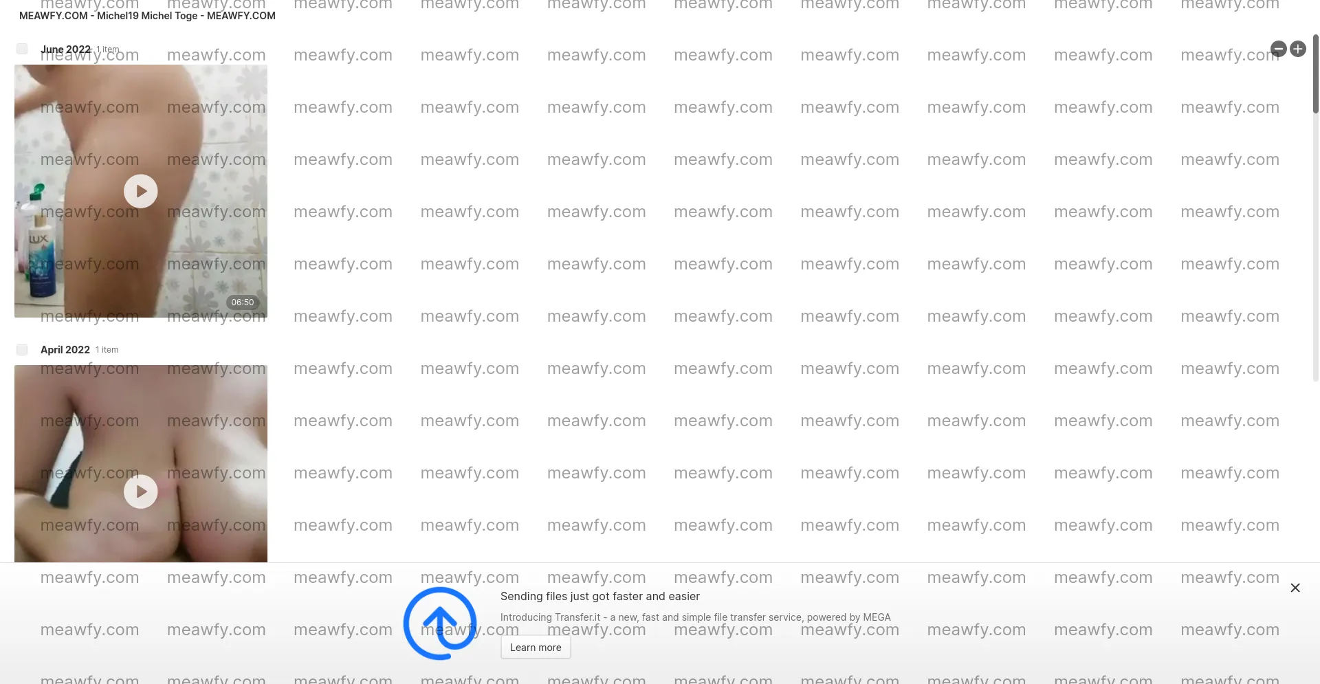 Michel19 Michel Toge - 1.502 GB Mega Folder | Meawfy