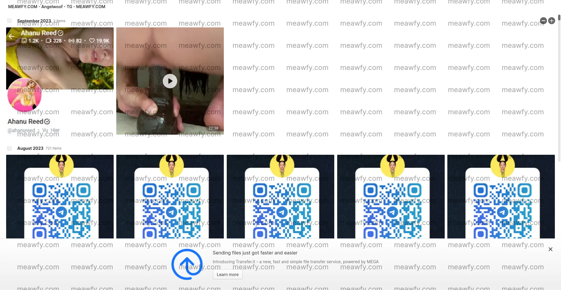 Angelwoof - Tg - 2.655 GB Mega Folder Meawfy