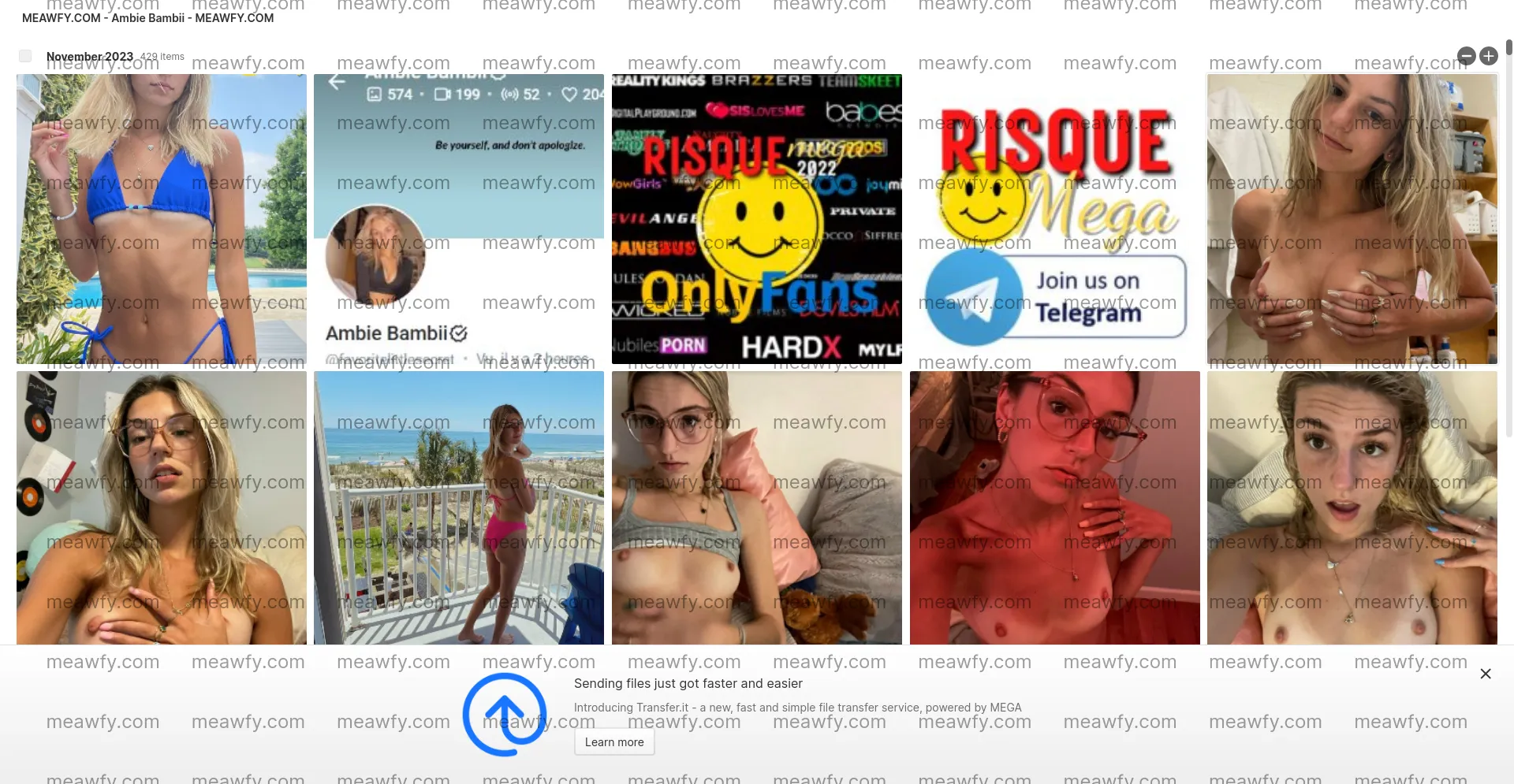 Ambie Bambii - 11.47 GB Mega Folder | Meawfy