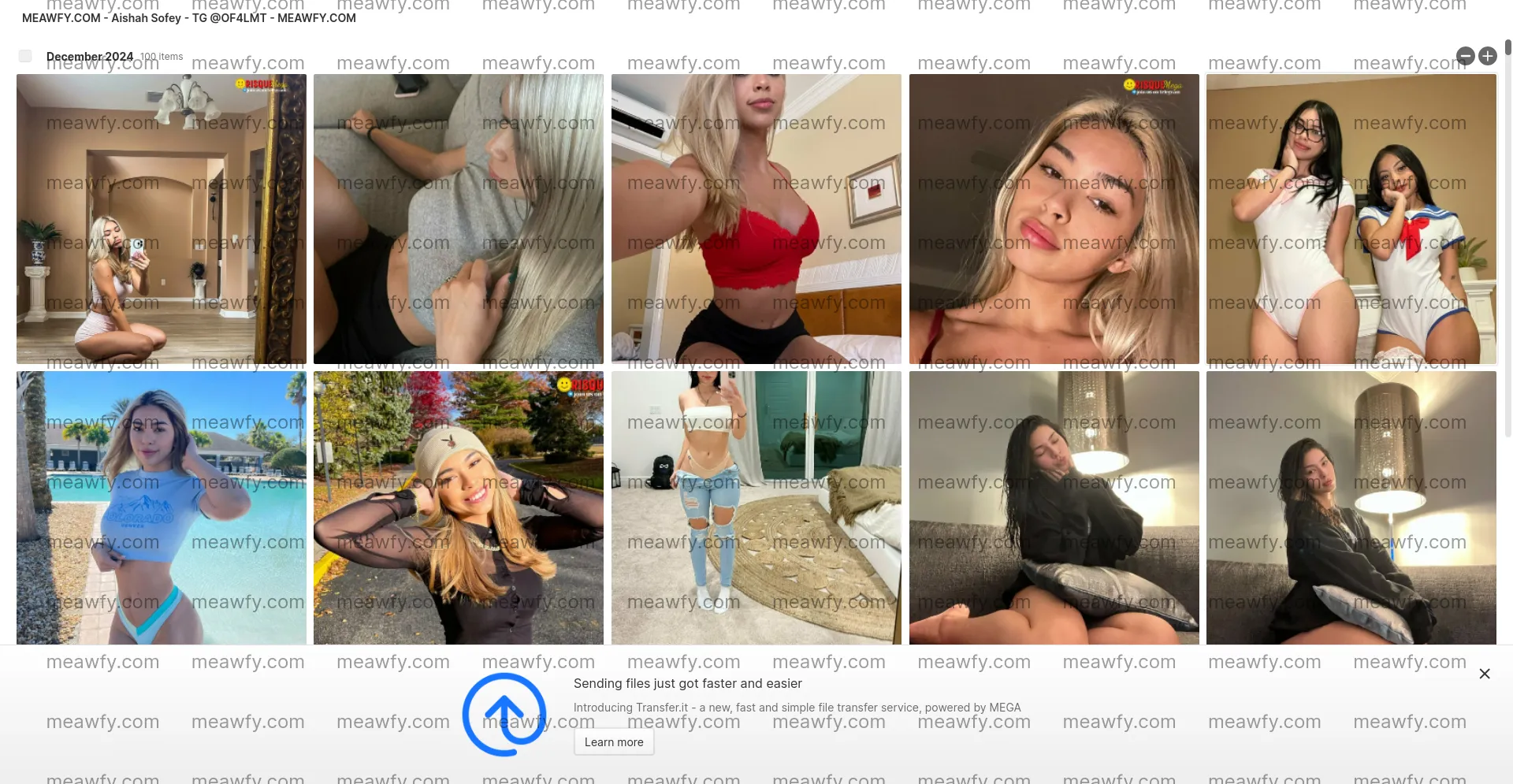 Aishah Sofey - Tg @Of4lmt - 255.1 MB Mega Folder | Meawfy