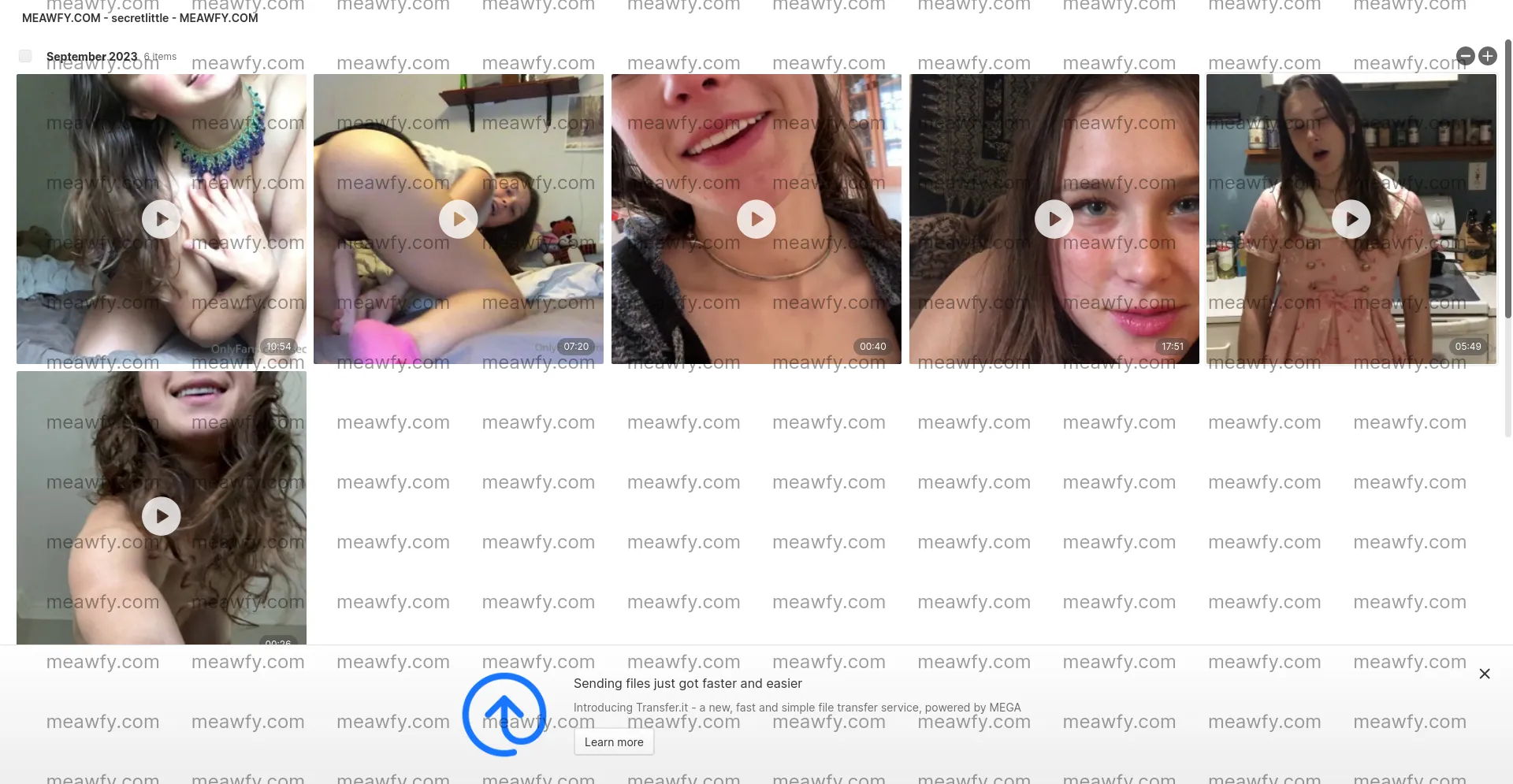Downloading Secretlittle 19.83 GB Mega Link