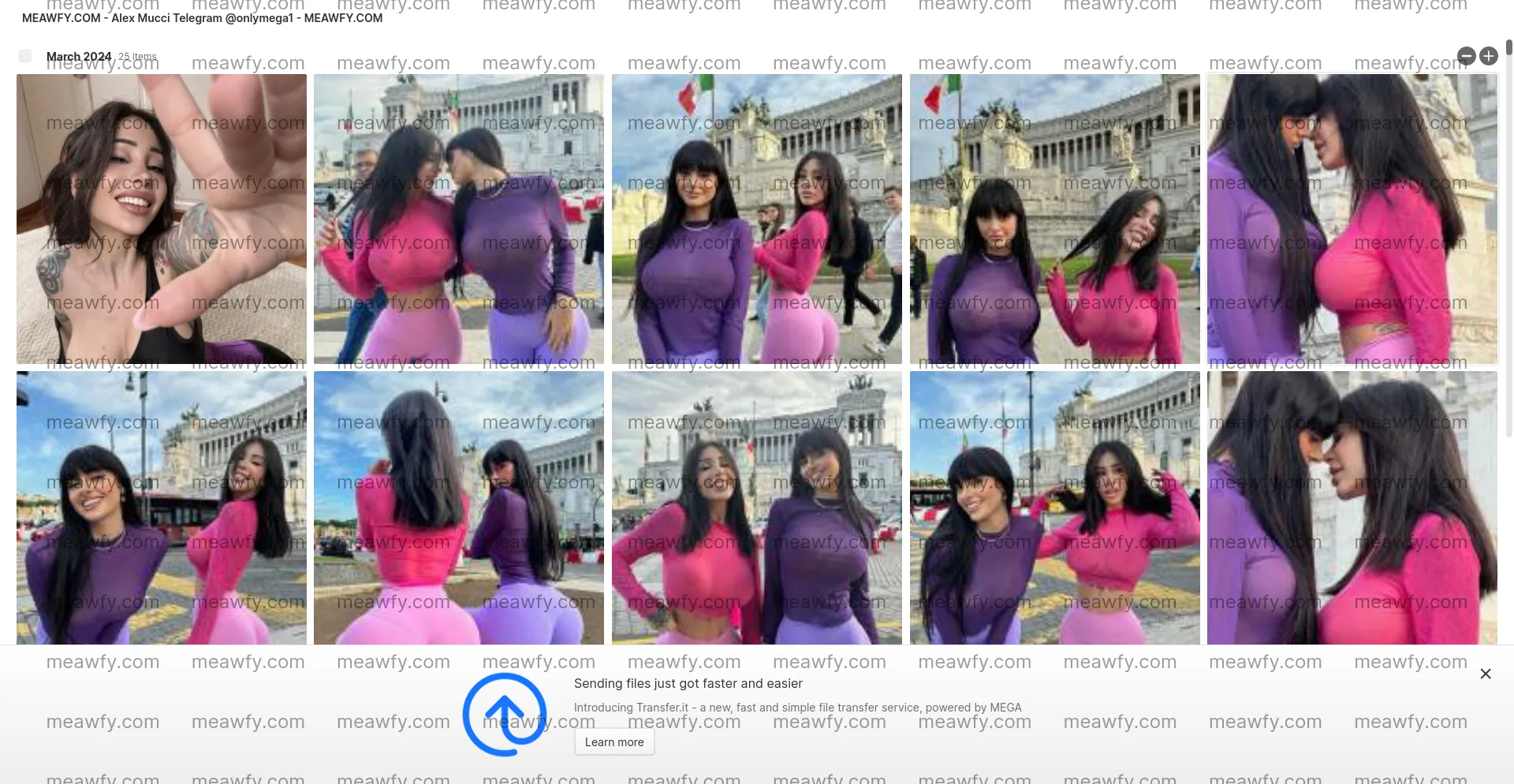 Alex Mucci Telegram @Onlymega1 - 9.542 GB Mega Folder | Meawfy